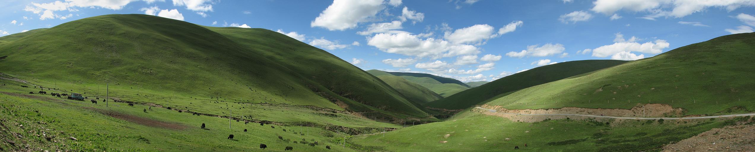 pano_0007