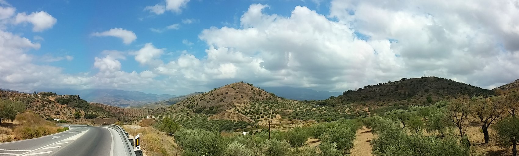 20140817_125253_Pano.jpg 