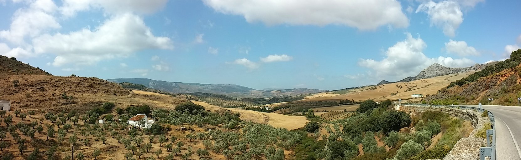 20140817_161040_Pano.jpg 