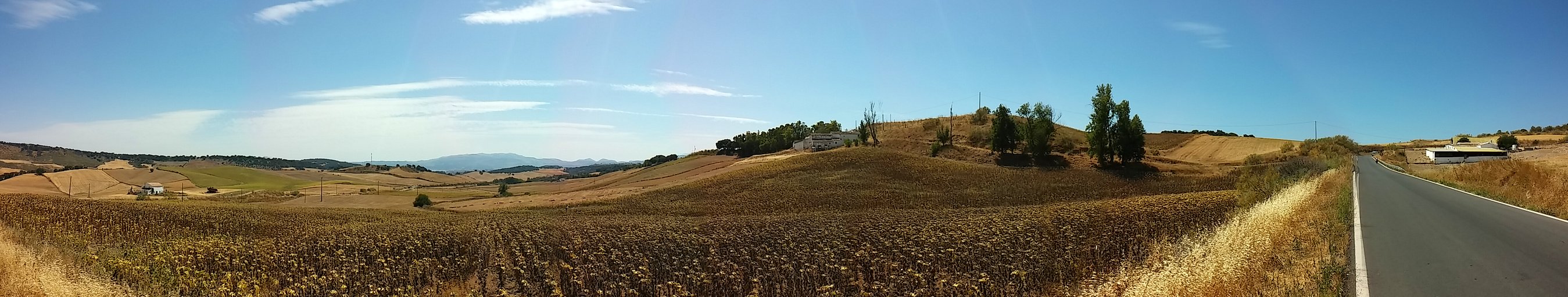 20140818_131250_Pano.jpg 