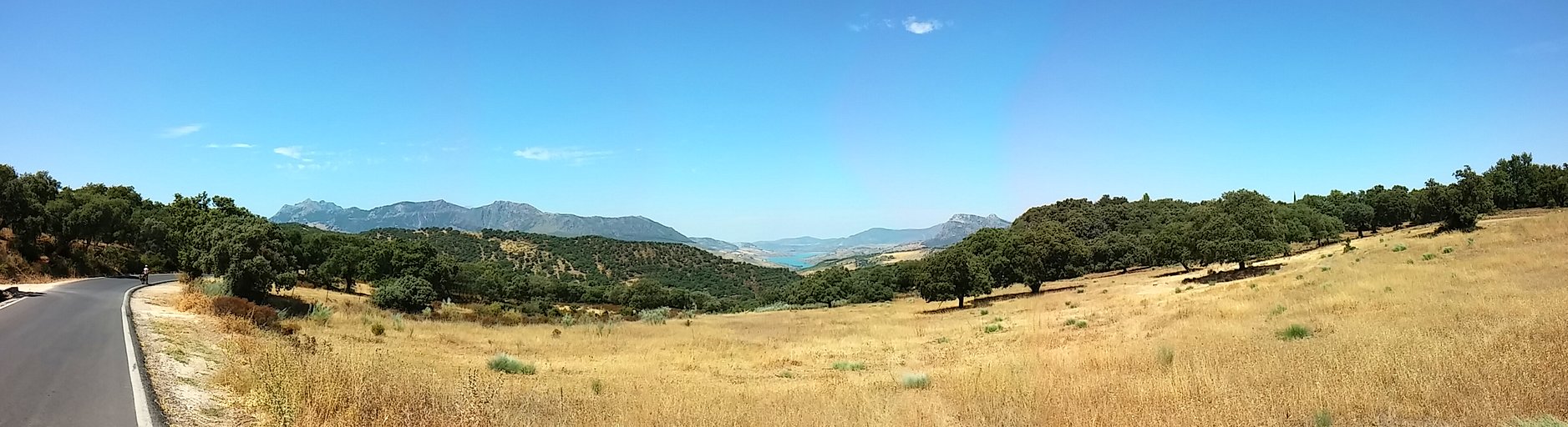 20140818_134208_Pano.jpg 