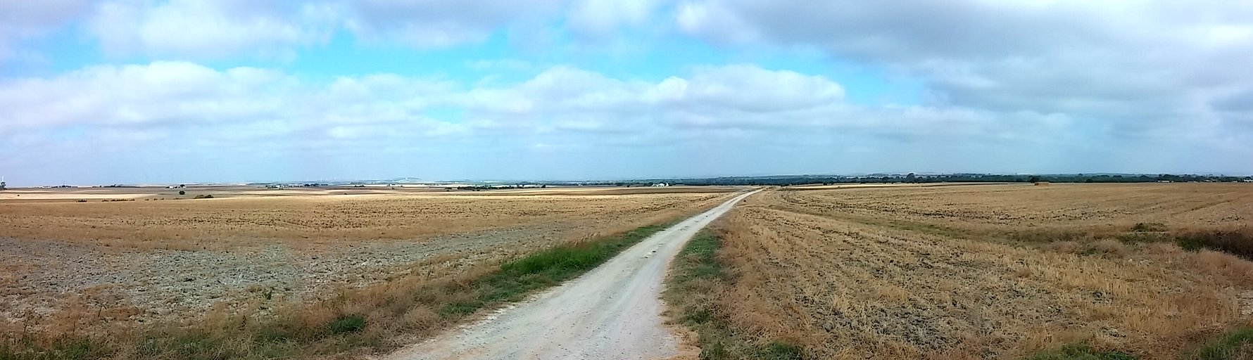 20140819_103107_Pano.jpg 