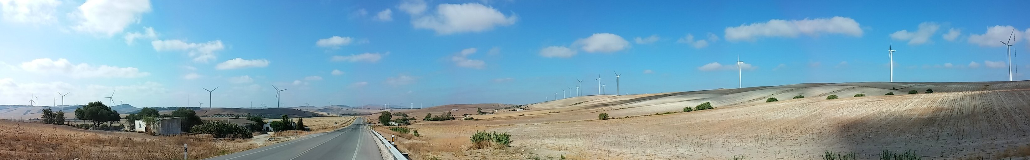 20140819_110124_Pano.jpg 