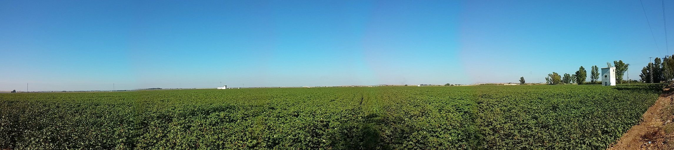 20140820_175851_Pano.jpg 