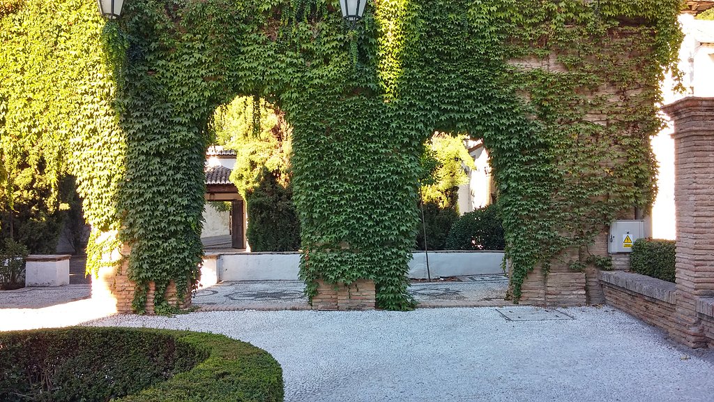 20140825_094714_HDR.jpg 