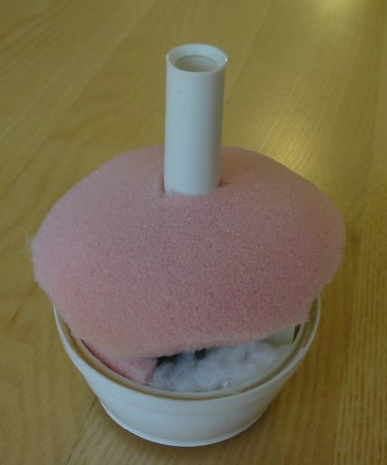 cotton and foam fill